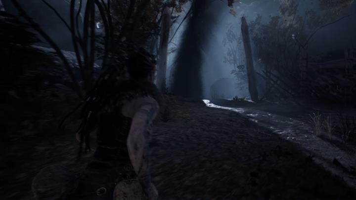 Run towards the dark tornado. - Hellblade Senuas Sacrifice: Reaching the shore - The Journey Begins - Hellblade: Senuas Sacrifice Game Guide