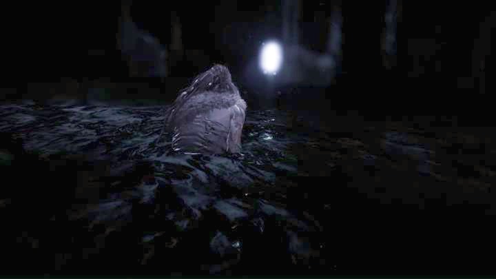 Follow the light - Hellblade Senuas Sacrifice: Fourth shard - The Story of Odin - Forging Gramr - Hellblade: Senuas Sacrifice Game Guide