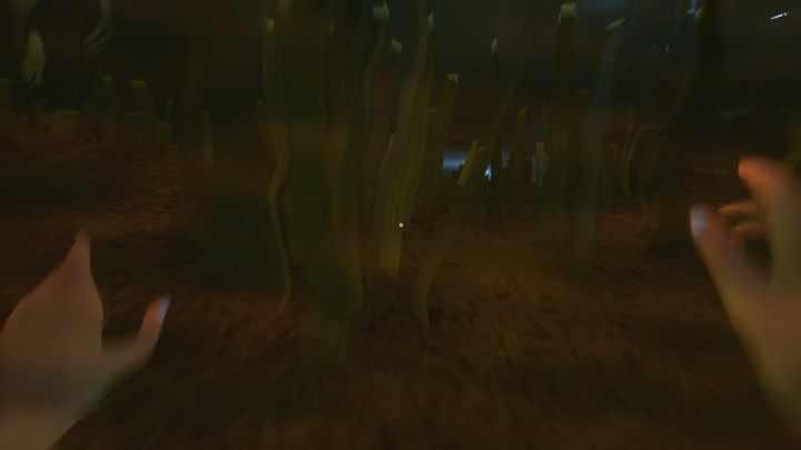 Your brother cant swim either - What does the brother do and how to run away from him? - FAQ - Hello Neighbor Hide and Seek Guide