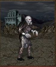 Attack: 10 - Necropolis - Units - Heroes of Might & Magic III: HD Edition - Game Guide and Walkthrough