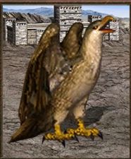 Attack: 13 - Stronghold - Units - Heroes of Might & Magic III: HD Edition - Game Guide and Walkthrough