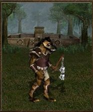 Attack: 4 - Fortress - Units - Heroes of Might & Magic III: HD Edition - Game Guide and Walkthrough