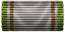 Physical Training - Unlocking - Ribbons - Heroes & Generals - Game Guide and Walkthrough