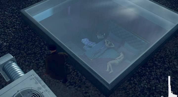 Shoot Alma through a skylight. - Hitman 2: Challenges, Feats - Nightcall walkthrough - Nightcall (Hawkes Bay) - Hitman 2 Guide