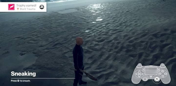 Tree branch. - Hitman 2: Challenges, Exploration - Nightcall walkthrough - Nightcall (Hawkes Bay) - Hitman 2 Guide