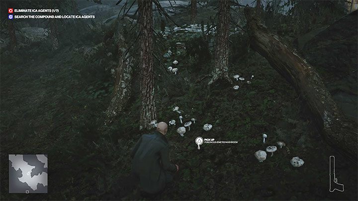 Poisonous Mushroom works just as well as rat poison - Hitman 3: Poison - how to get it? - Apex Predator - Berlin - Hitman 3 Guide