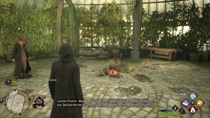 After closing the window, you can throw Chinese Chomping Cabbage with a single press of the tool button (L1/LB) - Hogwarts Legacy: Herbology Class - Hogwarts Legacy: Main quests - Hogwarts Legacy Guide