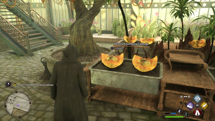 Go up the stairs and talk to Leander - Hogwarts Legacy: Herbology Class - Hogwarts Legacy: Main quests - Hogwarts Legacy Guide