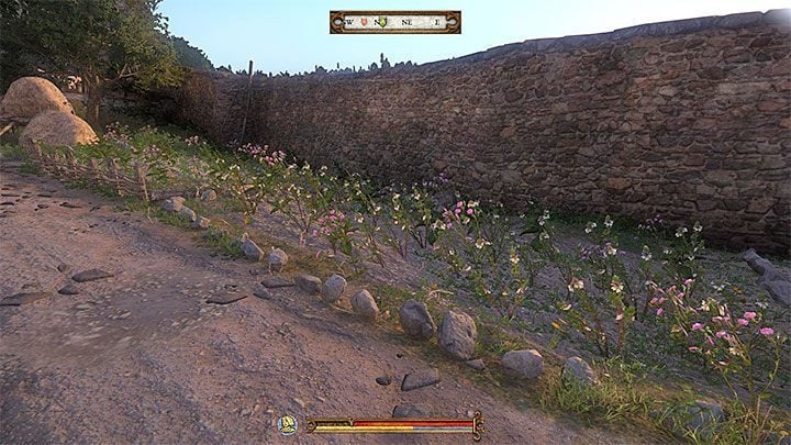 Brother Nicodemus can be found in the western part of the monastery - Kingdom Come Deliverance: Side quests in Sasau - Kingdom Come Deliverance: Side quests - Kingdom Come Deliverance Game Guide