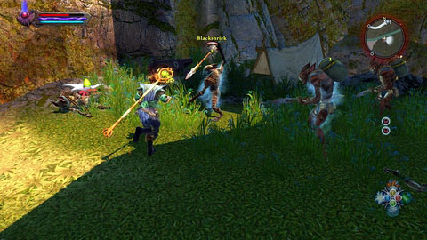 Blackshriek can be found in the north-east corner of the plain M2(4) - Tala-Rane - p.4 | Side missions - Side missions - Kingdoms of Amalur: Reckoning Game Guide & Walkthrough