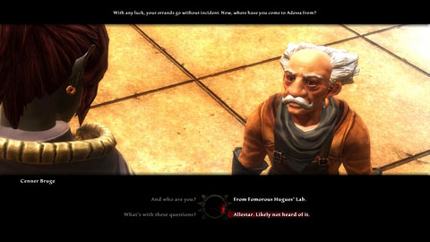 After entering the city, a gnome will stop you and ask you to answer some questions - Enemies In High Places | Walkthrough - Walkthrough - Kingdoms of Amalur: Reckoning Game Guide & Walkthrough