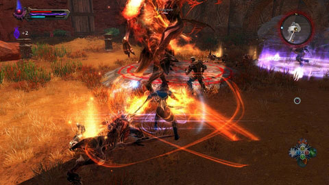 This fight is slightly different than other battles with Niskaru Lords - The Red Marches - p. 2 | Side missions - Side missions - Kingdoms of Amalur: Reckoning Game Guide & Walkthrough