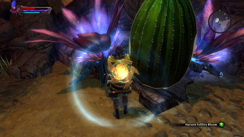 After the fight pick up a fragment of a Fellfire Bloom which grows nearby and bring it to Florion - Alserund - p. 2 | Side missions - Side missions - Kingdoms of Amalur: Reckoning Game Guide & Walkthrough