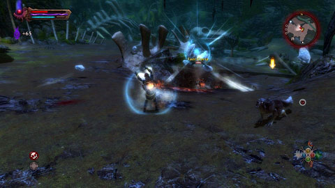 There will be plenty of fight but fortunately the wolf is very lively and avoids hits - The Midden | Side missions - Side missions - Kingdoms of Amalur: Reckoning Game Guide & Walkthrough