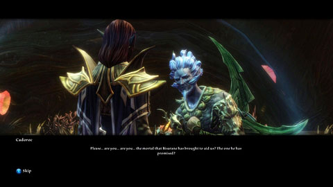Your second task is to find a poisoned Fae boy named Cadoroc - Drowned Forest - p. 1 | Side missions - Side missions - Kingdoms of Amalur: Reckoning Game Guide & Walkthrough