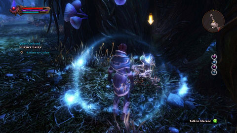 A key youre looking for is located in the Sinsear undergrounds in the southern part of Caelled Coast M11(5) - Drowned Forest - p. 3 | Side missions - Side missions - Kingdoms of Amalur: Reckoning Game Guide & Walkthrough