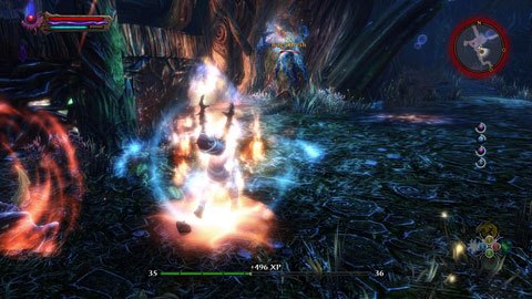 In order to get to the key, you have to obtain three other items, guarded by groups of beasts - Drowned Forest - p. 4 | Side missions - Side missions - Kingdoms of Amalur: Reckoning Game Guide & Walkthrough