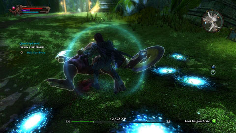 He will order you to clear Bolgan camp to the south M11(3) out of beasts - Caeled Coast - p. 1 | Side missions - Side missions - Kingdoms of Amalur: Reckoning Game Guide & Walkthrough