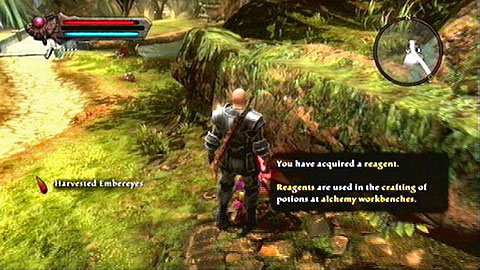 In the corner of the location you will find a gnome whos being attacked by a huge bear - Kingdoms of Amalur Reckoning: Odarath I, p. 1 - Walkthrough - Side missions - Kingdoms of Amalur: Reckoning Game Guide & Walkthrough