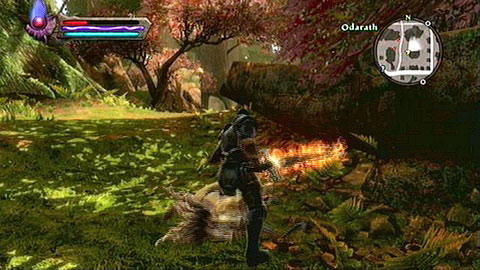 The animals can be found in the southern part of the location - Kingdoms of Amalur Reckoning: Odarath II, p. 1 - Walkthrough - Side missions - Kingdoms of Amalur: Reckoning Game Guide & Walkthrough