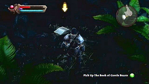 Slashing through the enemies found inside, you need to eventually reach the book found at the end of the tunnel - Kingdoms of Amalur Reckoning: Odarath II, p. 2 - Walkthrough - Side missions - Kingdoms of Amalur: Reckoning Game Guide & Walkthrough