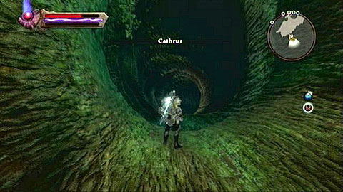 After a short conversation, you will learn that you should go to Cathrus - Kingdoms of Amalur Reckoning: Webwood, p. 2 - Walkthrough - Side missions - Kingdoms of Amalur: Reckoning Game Guide & Walkthrough