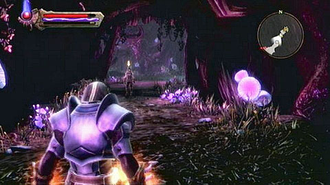 Inside the dungeon you will need to speak with the man once again - Kingdoms of Amalur Reckoning: The Sidhe - Walkthrough - Side missions - Kingdoms of Amalur: Reckoning Game Guide & Walkthrough