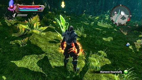 It can be found in the northern part of the woods - Kingdoms of Amalur Reckoning: The Sidhe - Walkthrough - Side missions - Kingdoms of Amalur: Reckoning Game Guide & Walkthrough