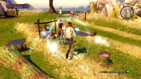 You can take the wand to Serabel M7(7) or priestess Graem from Tirins Rest M7(1) - Galafor/Acatha - p.2 | Side missions - Side missions - Kingdoms of Amalur: Reckoning Game Guide & Walkthrough