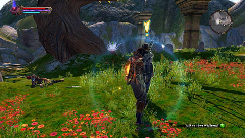 In the northern part of the location you will come across a woman named Idwa Windfrond M8(6) - Forsaken Plain I - p.2 | Side missions - Side missions - Kingdoms of Amalur: Reckoning Game Guide & Walkthrough