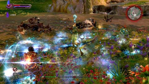 If some enemies happen to cause you any difficulty, remember about the Reckoning mode - Cradle of Summer | Side missions - Side missions - Kingdoms of Amalur: Reckoning Game Guide & Walkthrough