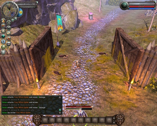 Village's exit, with spiders nearby - Quests - Korden's Fall (City and Borders) - Legends Of Dawn - Game Guide and Walkthrough