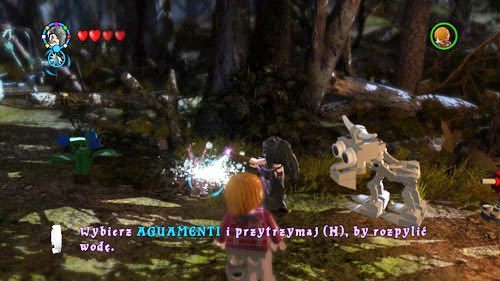 Go north of the pond, you will find dry plants - Harry Potter Years 5-7: Tokens - Camp - Tokens - LEGO Harry Potter Years 5-7 Guide