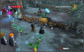 To get through the gate, hang the flowers on the second hook - LEGO Harry Potter Years 1-4: Year 3 Part 1 - Walkthrough - Walkthrough - LEGO Harry Potter Years 1-4 Guide & Walkthrough