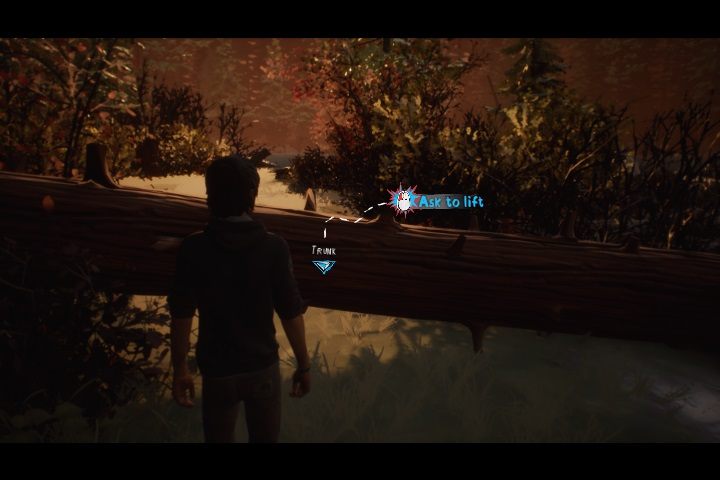 You will encounter three targets: Stones, Pine cones and Mushrooms - Chapter III - Daggers Drawn | Life is Strange 2 Episode 2 Walkthrough - Episode 3 Walkthrough - Life is Strange 2 Game Guide