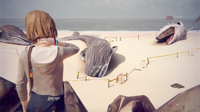 Photo #6 - Life is Strange: Dark Room - photos - Choices and decisions - Life is Strange Game Guide & Walkthrough