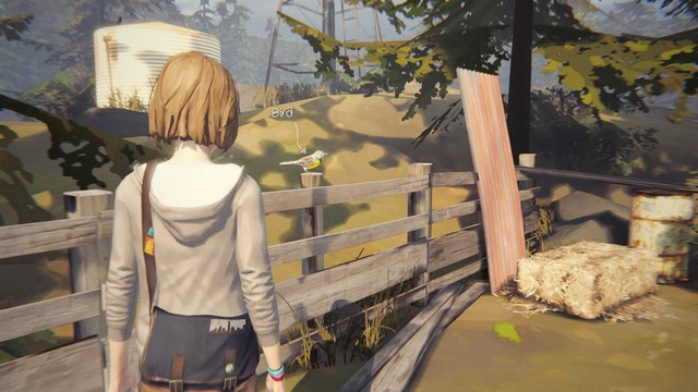 Photo #7 - Life is Strange: Dark Room - photos - Choices and decisions - Life is Strange Game Guide & Walkthrough