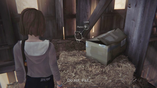 Photo #8 - Life is Strange: Dark Room - photos - Choices and decisions - Life is Strange Game Guide & Walkthrough