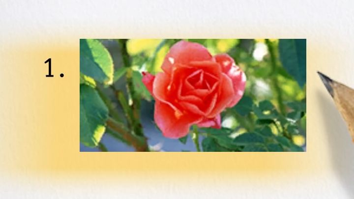 3 - Infinite Wealth: All exams at Ounabara Vocational School - Secrets and activities - Like a Dragon Infinite Wealth Guide