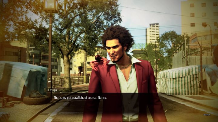 1 - Infinite Wealth: Can you have a pet? - FAQ - Like a Dragon Infinite Wealth Guide