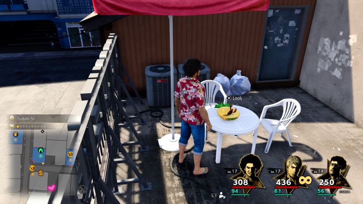 2 - Infinite Wealth: Can you have a pet? - FAQ - Like a Dragon Infinite Wealth Guide