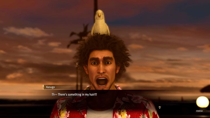 6 - Infinite Wealth: Can you have a pet? - FAQ - Like a Dragon Infinite Wealth Guide