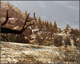 Avoid the branch [1] blocking the entrance to the village in a similar way - Friends from afar - Walkthrough - Medal of Honor - Game Guide and Walkthrough