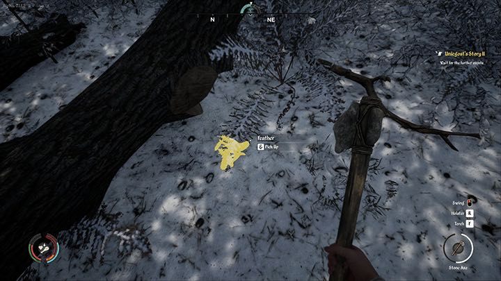 Finding feathers makes it easier to unlock the Survival Sense skill - Medieval Dynasty: Feathers - how to get? - FAQ - Medieval Dynasty Guide