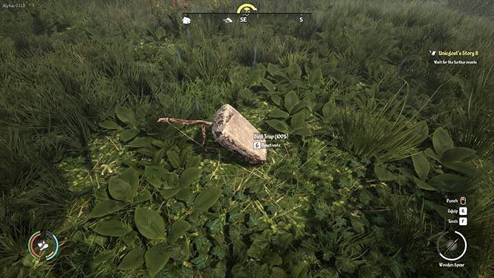 You have to leave the trap for a while - Medieval Dynasty: Feathers - how to get? - FAQ - Medieval Dynasty Guide