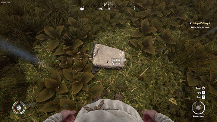 Go back to the trap on the next day - Medieval Dynasty: Feathers - how to get? - FAQ - Medieval Dynasty Guide