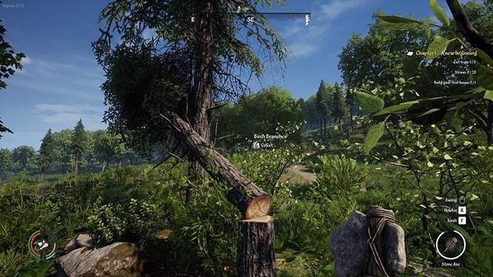 Medieval Dynasty is available only in a digital form on Steam and GOG platforms in two versions - Medieval Dynasty Guide