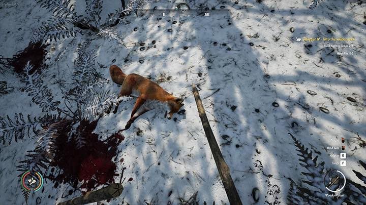 1 - Medieval Dynasty: Foxes - where to find? - FAQ - Medieval Dynasty Guide