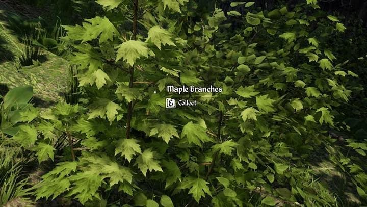 Straws are formed from the twigs of an under-grown reed, meaning you will find it above water - Medieval Dynasty: Building - how to build a house? - Basics - Medieval Dynasty Guide