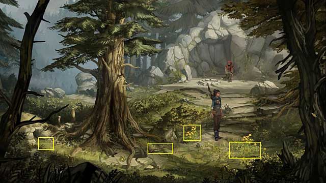 On the flowery meadow put the pelt - Find something to eat - Chapter II - Memoria - Game Guide and Walkthrough